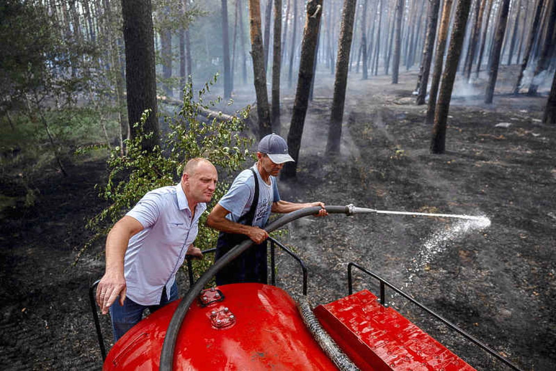 Ukraine's vast forests devastated in hellscape of war